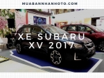 Xe Subaru XV 2017