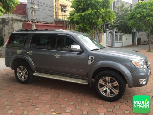 Ford Everest cũ