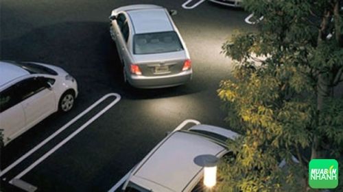Những điều cần lưu ý khi lùi xe ô tô để tránh xảy ra tai nạn