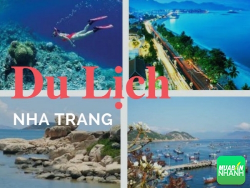 Thuê xe ô tô tự lái du lịch biển Nha Trang